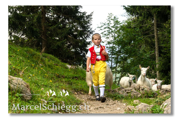 Marcel Schiegg Fotografie, Tradition, Brauchtum, Alpfahrt, Oeberefahre, Appenzell, Appenzellerland, Öberefahre, Alpstein