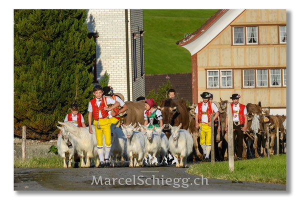 Öberefahre/Alpfahrt Art.-Nr. 17MS5-3264