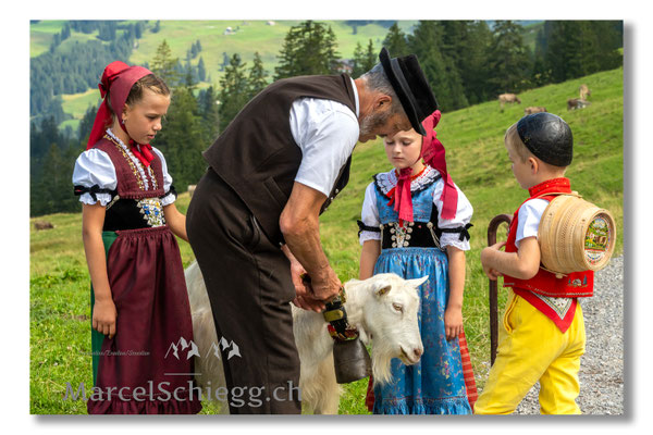Marcel Schiegg Fotografie, Tradition, Brauchtum, Alpfahrt, Oeberefahre, Appenzell, Appenzellerland, Öberefahre, Alpstein, Meinrad Koch