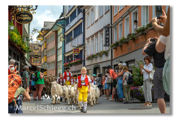 Marcel Schiegg Fotografie, Tradition, Brauchtum, Alpfahrt, Oeberefahre, Appenzell, Appenzellerland, Öberefahre, Hauptgasse