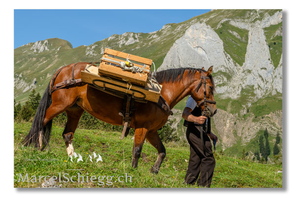 Marcel Schiegg Fotografie, Tradition, Brauchtum, Alpfahrt, Oeberefahre, Appenzell, Appenzellerland, Öberefahre, Alpstein, Dreifaltigkeit