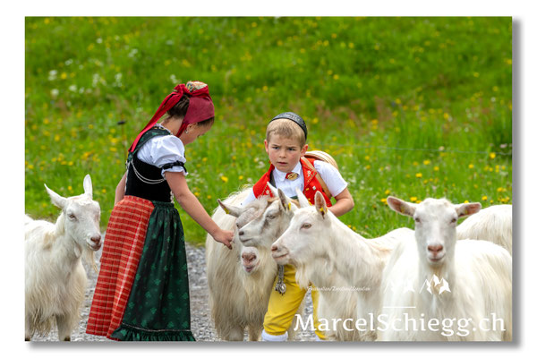 Marcel Schiegg Fotografie, Tradition, Brauchtum, Alpfahrt, Oeberefahre, Appenzell, Appenzellerland, Öberefahre, Alpstein