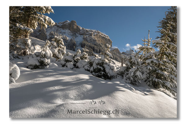 Alpstein/Winterimpressionen Art.-Nr. MZ7-6180