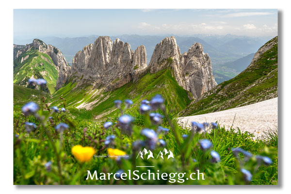 Marcel Schiegg Fotografie, Marcel Schiegg, Mutschen, Mutschensattel, Kreuzberge, Bollenwees, Alpstein