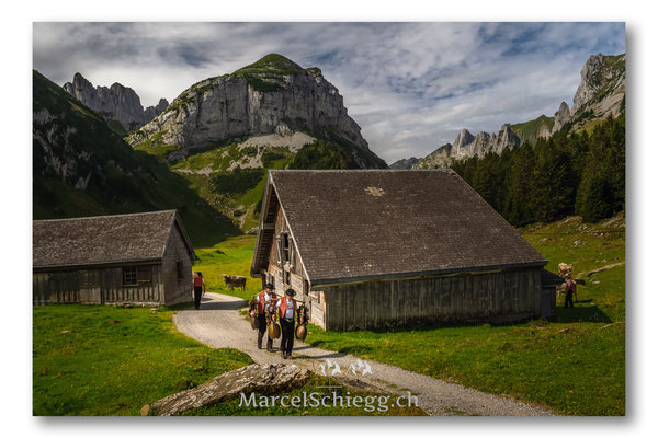 Öberefahre/Alpfahrt Art.-Nr. MZ7-5033-August