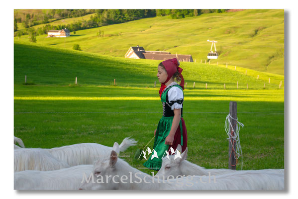 Marcel Schiegg Fotografie, Tradition, Brauchtum, Alpfahrt, Oeberefahre, Appenzell, Appenzellerland, Öberefahre, Alpstein
