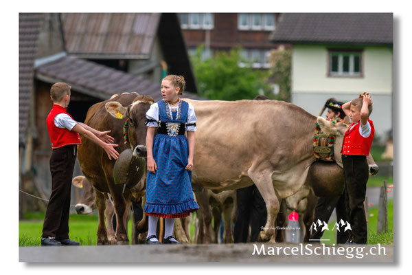 Marcel Schiegg Fotografie, Tradition, Brauchtum, Alpfahrt, Oeberefahre, Appenzell, Appenzellerland, Öberefahre