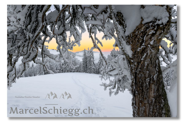 Alpstein/Winterimpressionen Art.-Nr. MZ7-9115