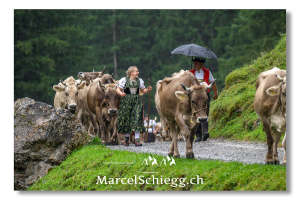 Marcel Schiegg Fotografie, Seealp, Alpstein, Tradition, Brauchtum, Alpfahrt, Oeberefahre, Appenzell