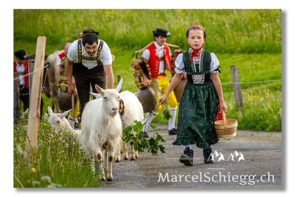 Öberefahre/Alpfahrt Art.-Nr. MZ7-0566