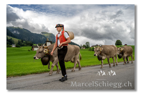 Öberefahre/Alpfahrt Art.-Nr. MZ7-4503