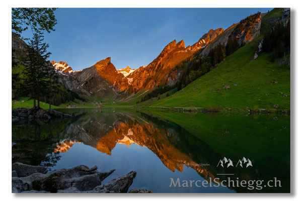 Marcel Schiegg Fotografie, Seealpsee, Spiegelung, Morgenstimmung, Alpstein, Appenzell, Appenzellerland