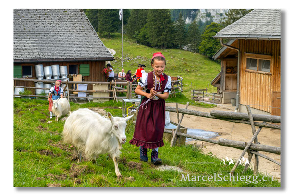 Marcel Schiegg Fotografie, Tradition, Brauchtum, Alpfahrt, Oeberefahre, Appenzell, Appenzellerland, Öberefahre, Alpstein, Alp Soll