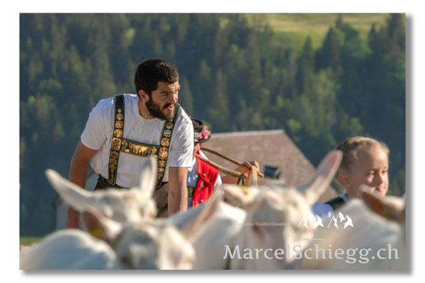 Marcel Schiegg Fotografie, Tradition, Brauchtum, Alpfahrt, Oeberefahre, Appenzell, Appenzellerland, Öberefahre, Alpstein