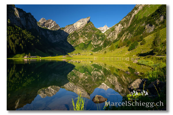 Seealpsee Art.-Nr. MZ7-3202