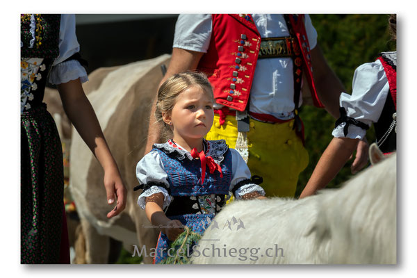 Öberefahre/Alpfahrt Art.-Nr. MS5-9439-August