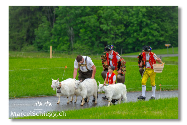 Marcel Schiegg Fotografie, Tradition, Brauchtum, Alpfahrt, Oeberefahre, Appenzell, Appenzellerland, Öberefahre