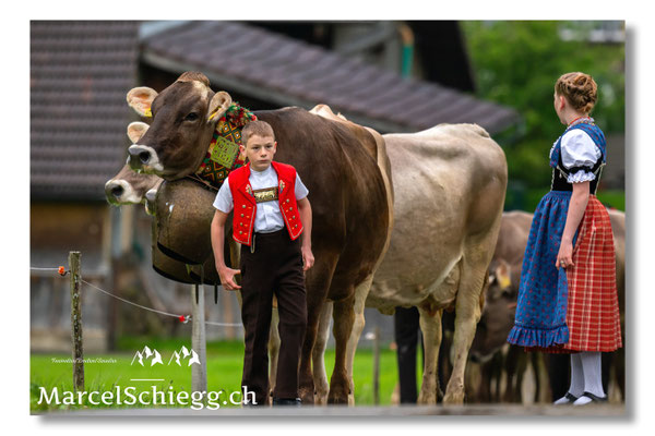 Marcel Schiegg Fotografie, Tradition, Brauchtum, Alpfahrt, Oeberefahre, Appenzell, Appenzellerland, Öberefahre