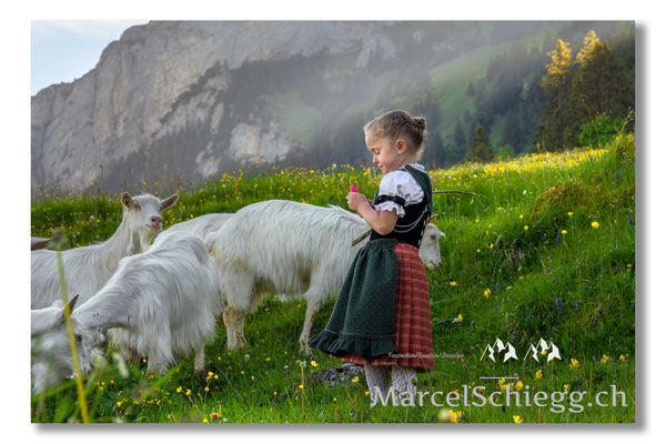 Öberefahre, Alpfahrt, Appenzell, Brauchtum