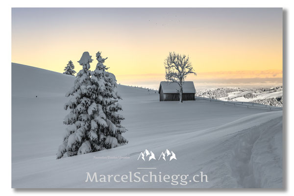 Alpstein/Winterimpressionen Art.-Nr. MZ7-5728