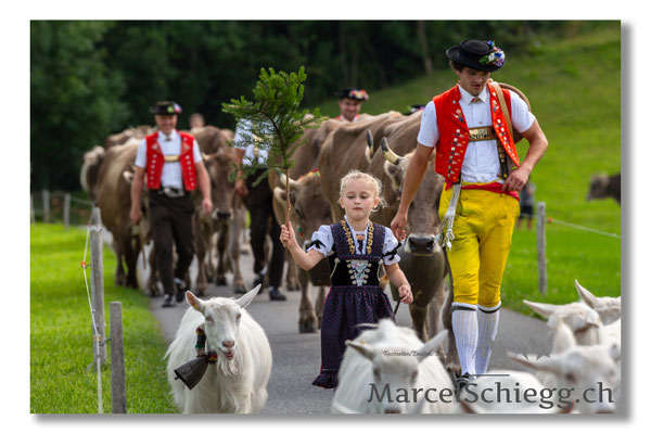 Marcel Schiegg Fotografie, Tradition, Brauchtum, Alpfahrt, Oeberefahre, Appenzell, Appenzellerland, Öberefahre, Alpstein