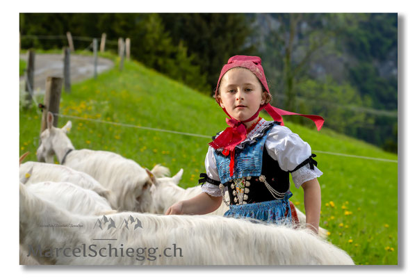 Marcel Schiegg Fotografie, Tradition, Brauchtum, Alpfahrt, Oeberefahre, Appenzell, Appenzellerland, Öberefahre, Alpstein