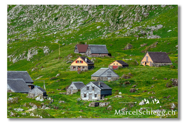 Meglisalp Art.-Nr. MS5-3215