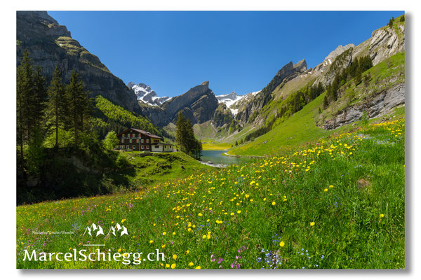 Seealpsee Art.-Nr. MZ7-9774-Pan
