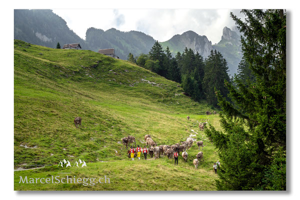 Marcel Schiegg Fotografie, Tradition, Brauchtum, Alpfahrt, Oeberefahre, Appenzell, Appenzellerland, Öberefahre, Alpstein