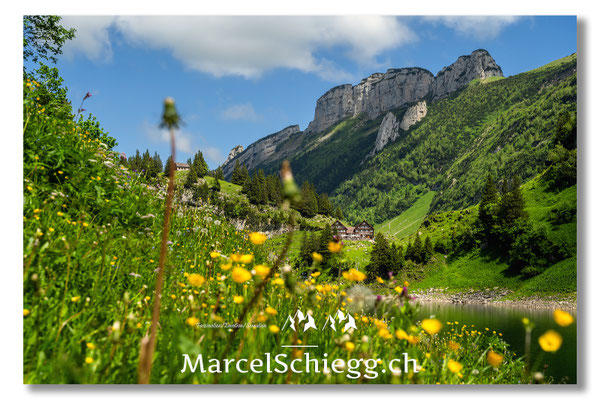 Marcel Schiegg Fotografie, Marcel Schiegg, Faehlensee, Fählensee, Bollenwees, Alpstein