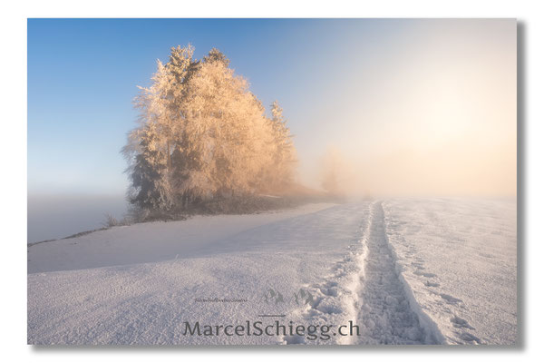 Appenzellerland/Winterimpressionen Art.-Nr. MZ7-1373