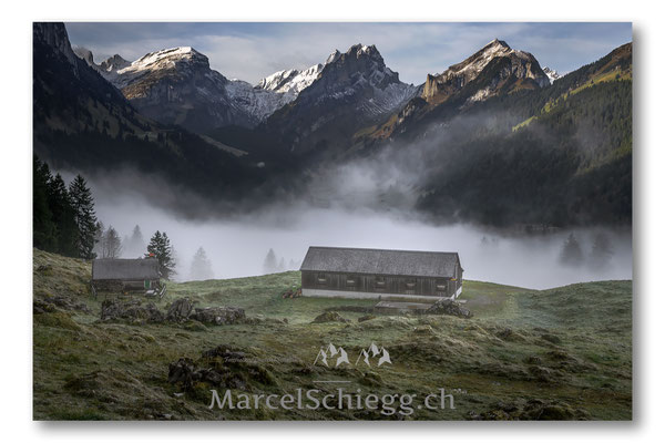 Plattenbödeli/Sämtisersee Art.-Nr. MS5-9520-Oktober