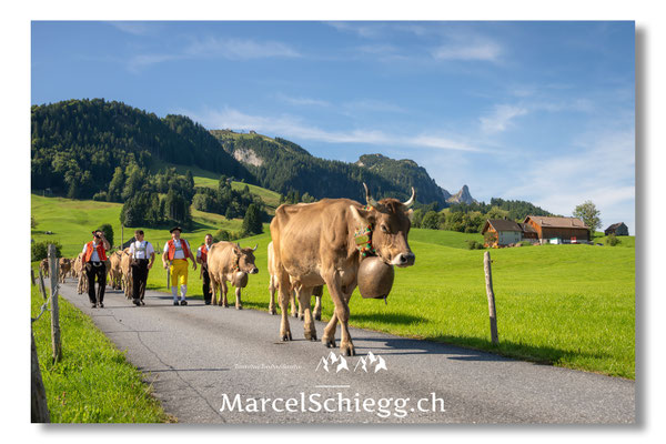 Marcel Schiegg Fotografie, Tradition, Brauchtum, Alpfahrt, Oeberefahre, Appenzell, Appenzellerland, Öberefahre, Alpstein