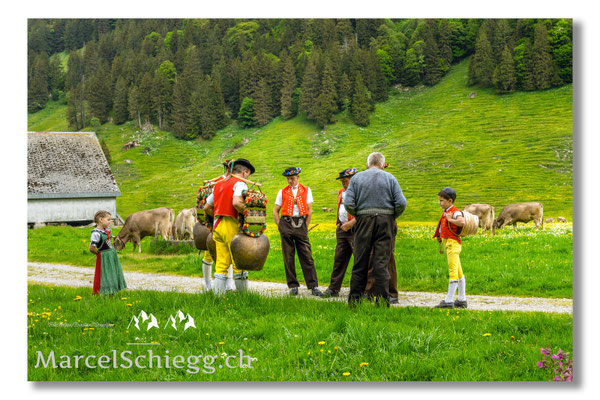 Marcel Schiegg Fotografie, Tradition, Brauchtum, Alpfahrt, Oeberefahre, Appenzell, Alpstein, Sämtis, Senntumschellen