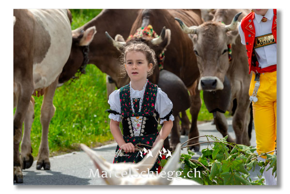 Marcel Schiegg Fotografie, Tradition, Brauchtum, Alpfahrt, Oeberefahre, Appenzell