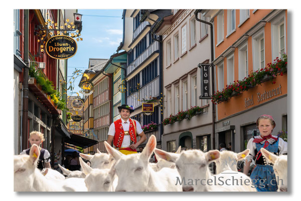 Marcel Schiegg Fotografie, Tradition, Brauchtum, Alpfahrt, Oeberefahre, Appenzell, Appenzellerland, Öberefahre, Hauptgasse