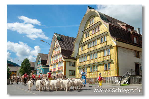 Marcel Schiegg Fotografie, Blattenheimatstrasse, Tradition, Brauchtum, Alpfahrt, Oeberefahre, Appenzell