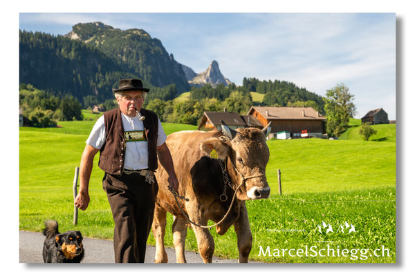 Marcel Schiegg Fotografie, Tradition, Brauchtum, Alpfahrt, Oeberefahre, Appenzell, Appenzellerland, Öberefahre, Alpstein