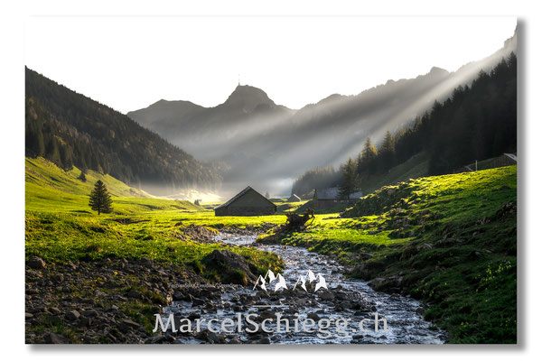 Plattenbödeli/Sämtisersee/Rheintaler Sämtis Art.-Nr. MZ7-2569