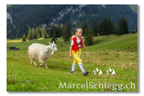 Marcel Schiegg Fotografie, Tradition, Brauchtum, Alpfahrt, Oeberefahre, Appenzell, Appenzellerland, Öberefahre, Alpstein