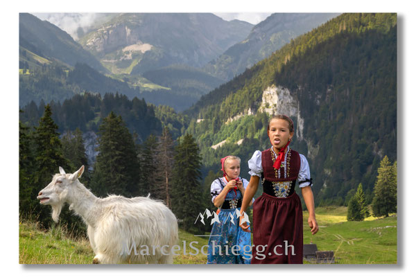 Marcel Schiegg Fotografie, Tradition, Brauchtum, Alpfahrt, Oeberefahre, Appenzell, Appenzellerland, Öberefahre, Alpstein