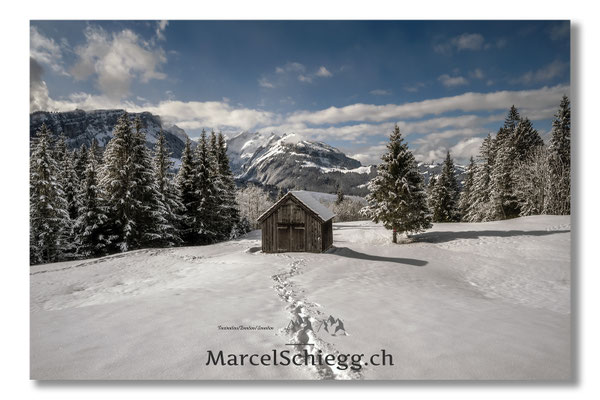 Alpstein/Winterimpressionen Art.-Nr. MZ7-6008