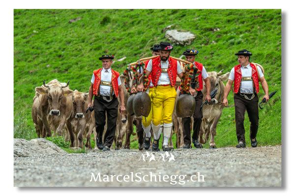 Marcel Schiegg Fotografie, Seealp, Alpstein, Tradition, Brauchtum, Alpfahrt, Oeberefahre, Appenzell, Senntumschellen