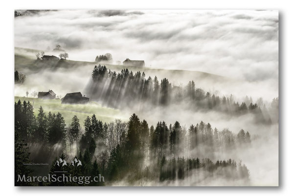 Appenzellerland Art.-Nr. MS8-3866-November