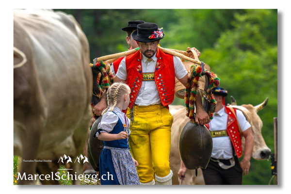 Marcel Schiegg Fotografie, Seealp, Alpstein, Tradition, Brauchtum, Alpfahrt, Oeberefahre, Appenzell, Senntumschellen