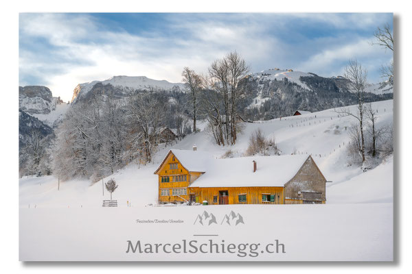 Appenzellerland/Winterimpressionen Art.-Nr. MZ7-3432