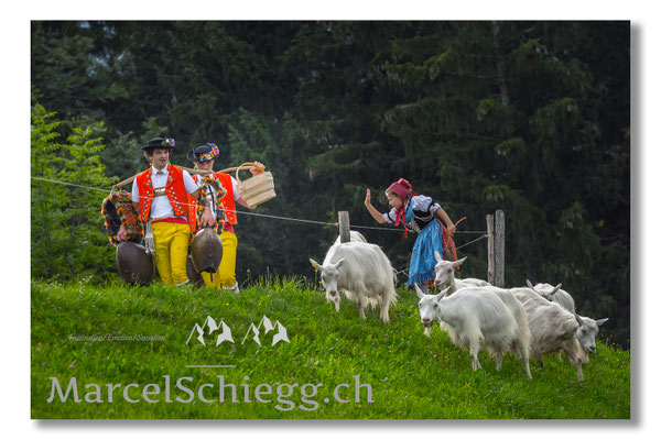 Marcel Schiegg Fotografie, Tradition, Brauchtum, Alpfahrt, Oeberefahre, Appenzell, Appenzellerland, Öberefahre, Alpstein