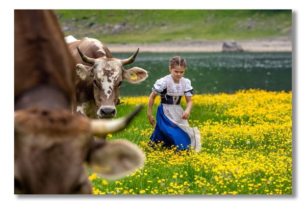 Marcel Schiegg Fotografie, Tradition, Brauchtum, Alpfahrt, Oeberefahre, Appenzell, Alpstein, Sämtis, Sämtisersee, Hornkuh