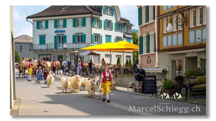 Marcel Schiegg Fotografie, Tradition, Brauchtum, Alpfahrt, Oeberefahre, Appenzell, Appenzellerland, Öberefahre, Hauptgasse