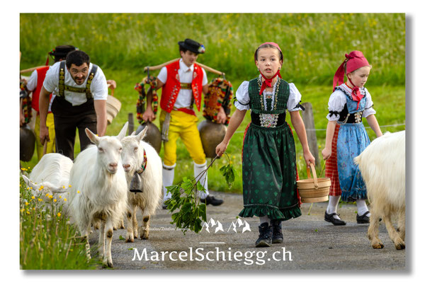 Marcel Schiegg Fotografie, Tradition, Brauchtum, Alpfahrt, Oeberefahre, Appenzell, Appenzellerland, Öberefahre, Alpstein